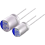 Polymer Capacitors